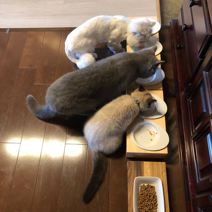 144b4848 692d 4ff5 8b62 2d2bfa4b8e66 1589329874149