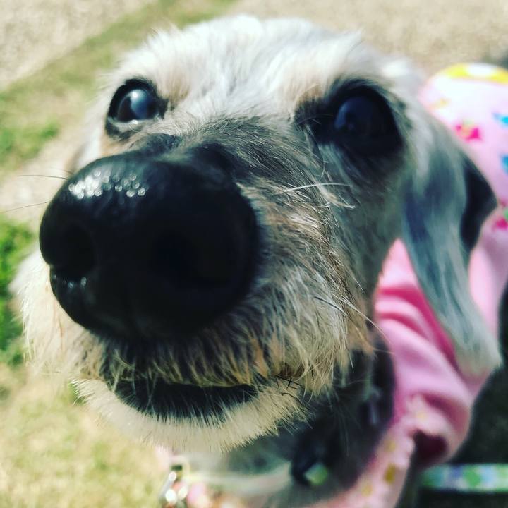 144b5415 466b 4d24 ac27 0def6982158e 1522742438006