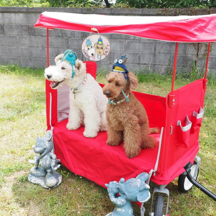 144b670e ed05 4eea 8336 8f1149b0a929 1560048561257