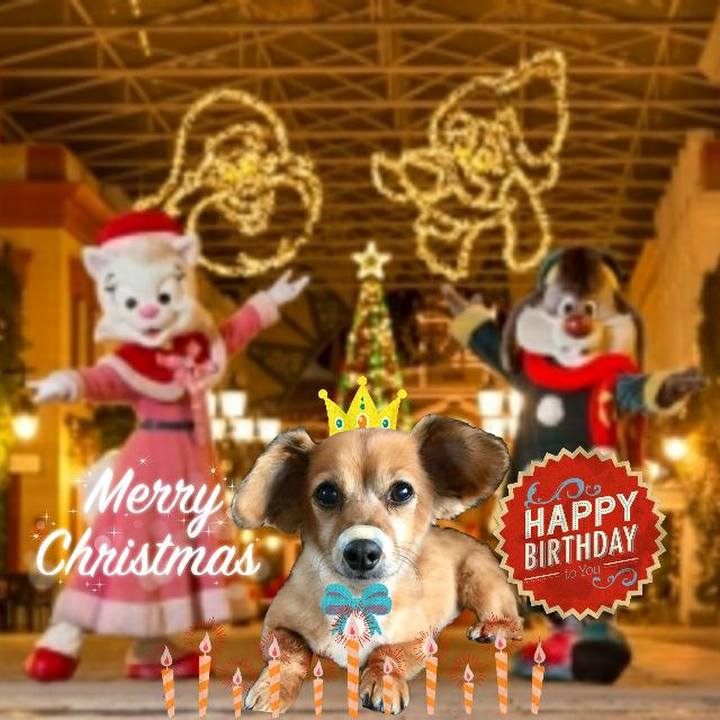 144b7586 246c 432e 8894 f48704b6c97b 1545728519049