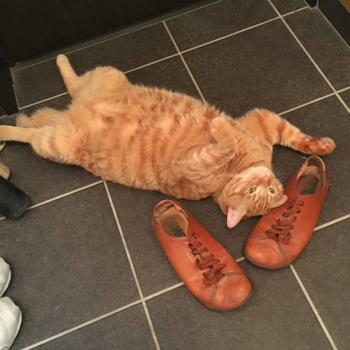 144b7c3c e427 439f bc75 e84b95285efa 1558995154263