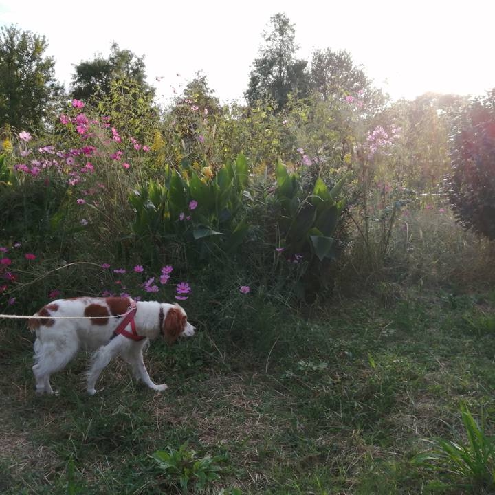 144b8c4a 8bb6 4e60 8d97 cc493ffaefc8 1634820045403