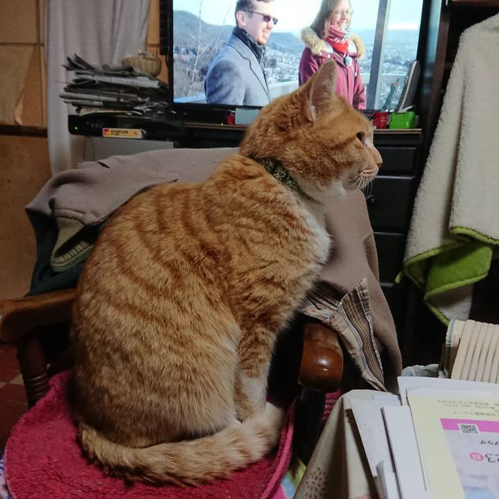 144b98f0 f8bd 4e1d bd97 a53116e012e1 1582018441364