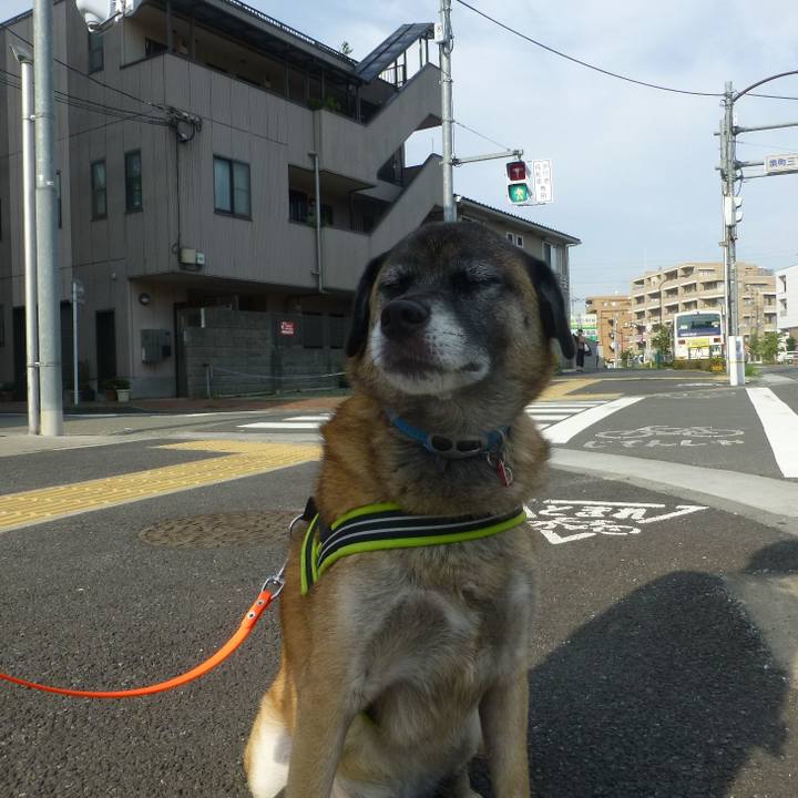 144bc036 3651 4cdb 9c10 b97f9647164a 1580276642609