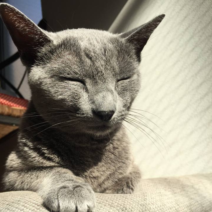 144bc8d3 7862 45e2 8899 6a0e475d2067 1572217394666