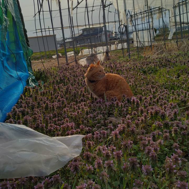 144bf585 9764 4dda a240 ad72145accf5 1681252888037