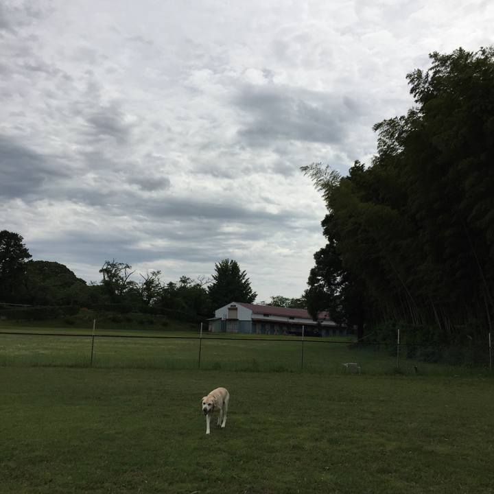 144bff7a cc5a 48ce b3d0 f43303bc699b 1526170040770