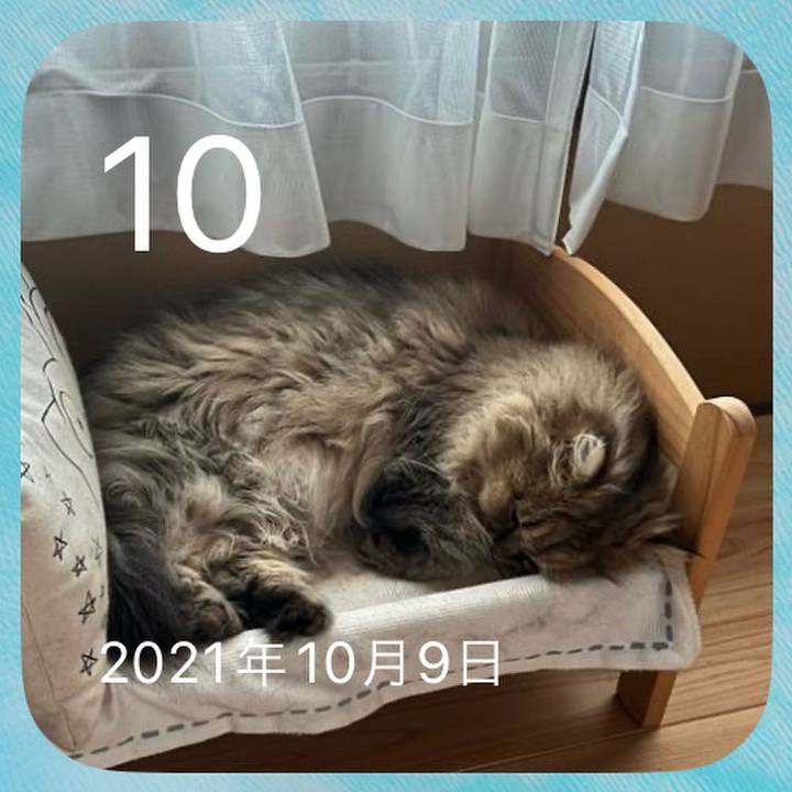 144c093b 9fda 4034 ac41 910208bec8ea 1665377576109