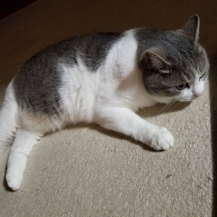 144c1199 7409 4c9a 9618 c92b83469de3 1627389659535