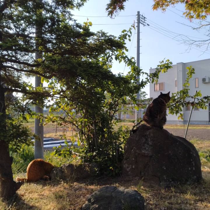 144c11a2 3e00 4833 a4e3 09bc26da5a21 1715381735884