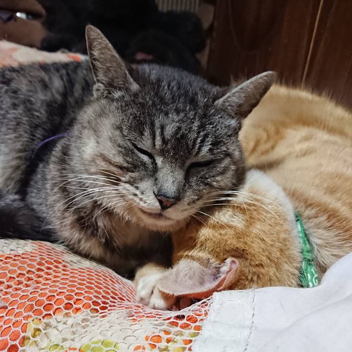 144c6c13 970b 4b88 97a0 37886b5039c5 1584189353423