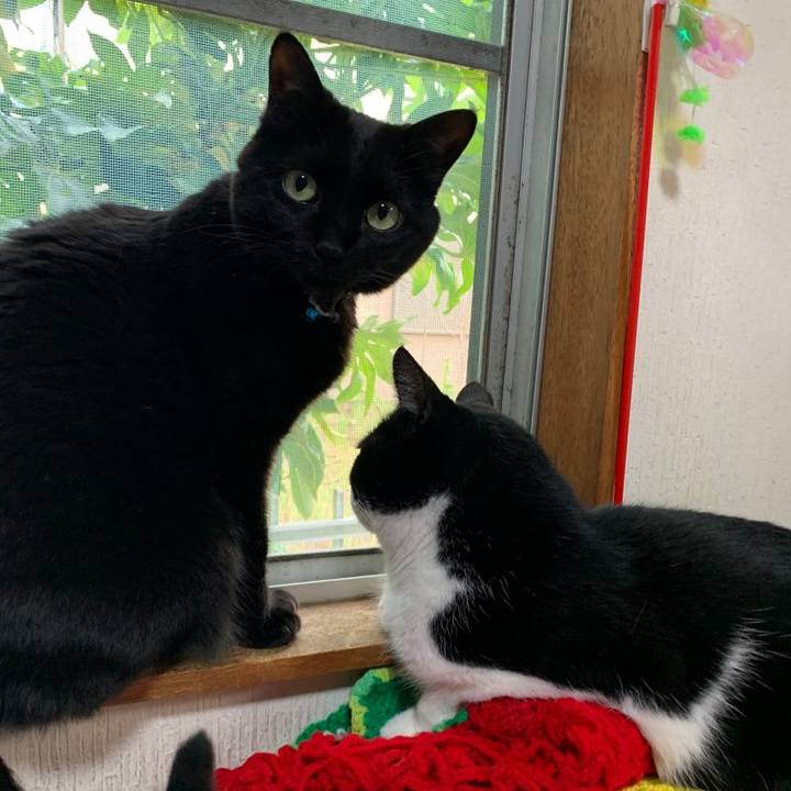 144c8203 cc4f 4043 af88 3d0606947087 1619865626718