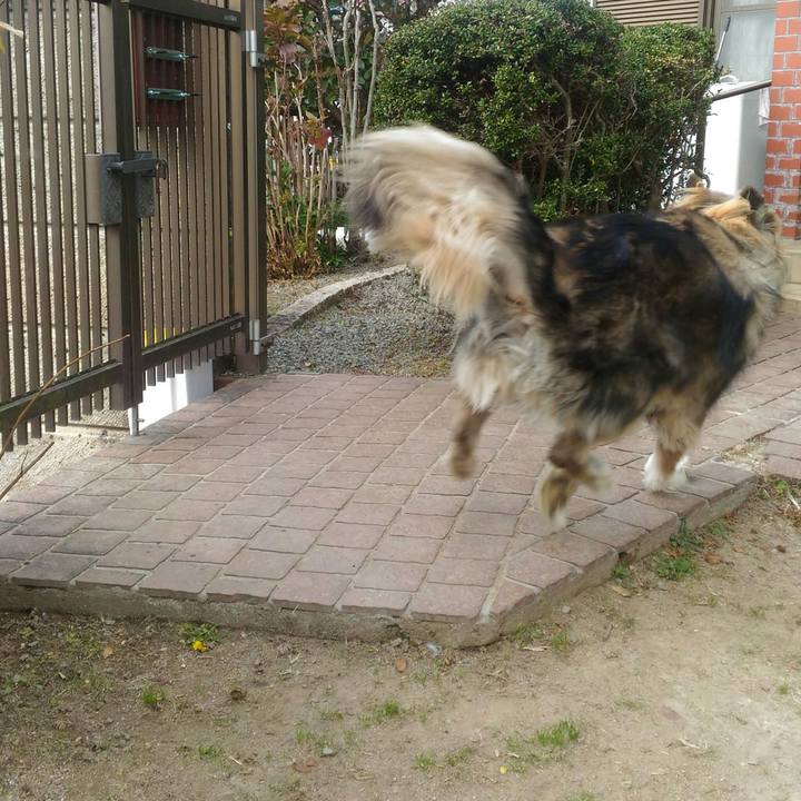 144cc45d ccdb 4c3a 97ed 955f96212185 1576301808746