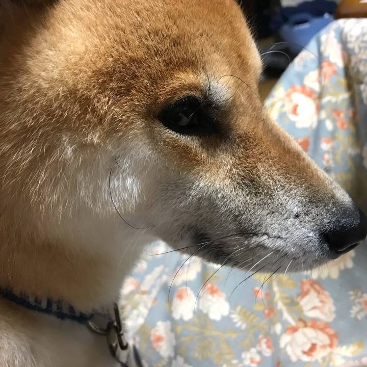 144cd3cc 6f39 402a be0f 3f85a219129f 1574256465937