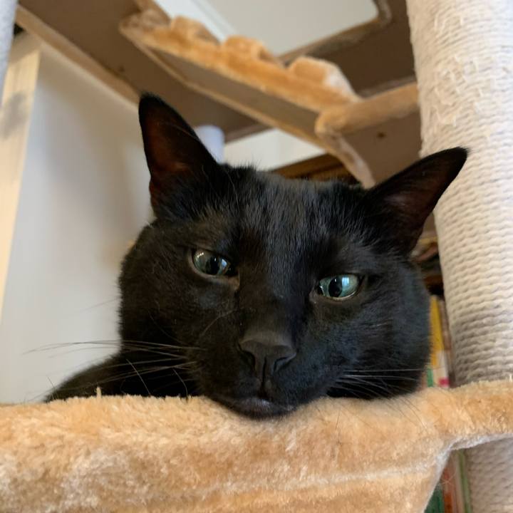 144d15f8 63aa 4e5f 934a 1195b5a682cb 1613603468470