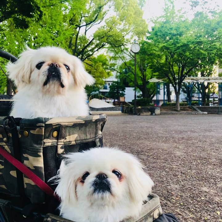 144d1ede 186f 4b84 9b8b 66462989aac9 1588800299476