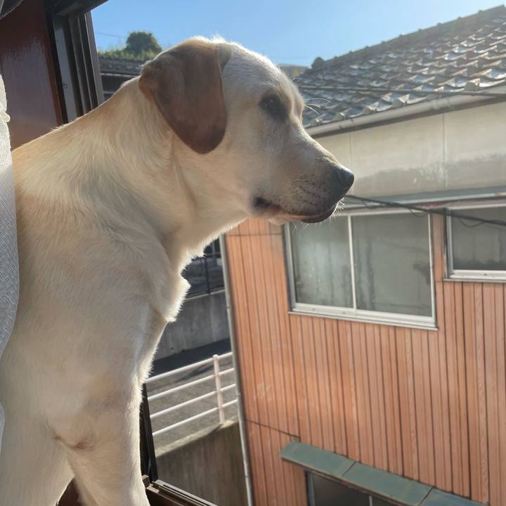 144d23d3 5dec 4890 8c6d 2f400eacc210 1640304549771