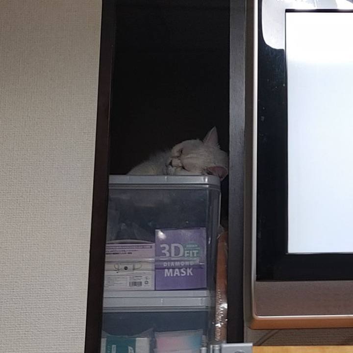 144d3065 6cde 4dfc 9837 4e1d1f0a133d 1685284423842