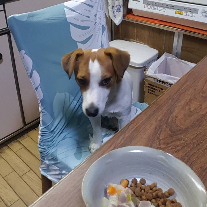 144d52af 3786 424d 84dc a1e656999810 1568697187110