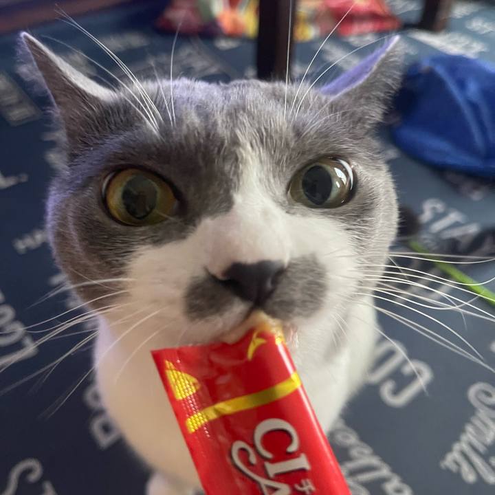 144d9339 c1dc 4a31 a34d ca0cd94c94c7 1693552280043