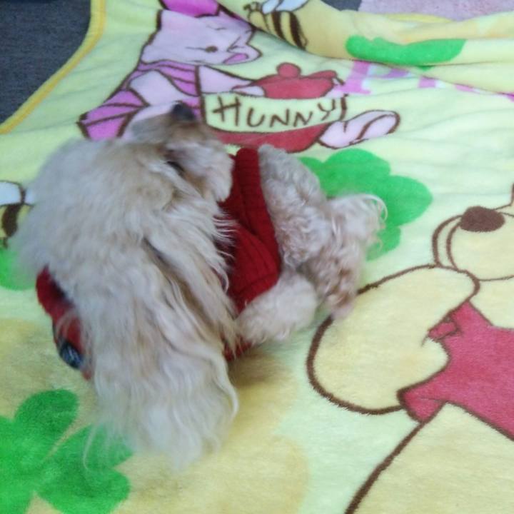 144da0c8 b29b 4182 a543 96da0c2b76c9 1548505340629