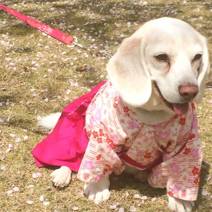 144db263 fa93 4a59 856e 84b518eb707b 1582561149360