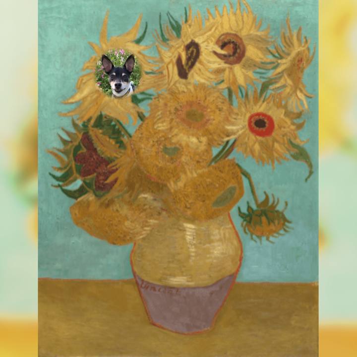 144db720 894d 4c55 afe9 7e2eab1b1b8b 1634905533757