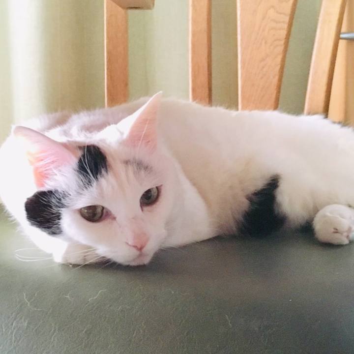 144e78d2 bddf 4193 bb42 6a1d95cef631 1558647977847