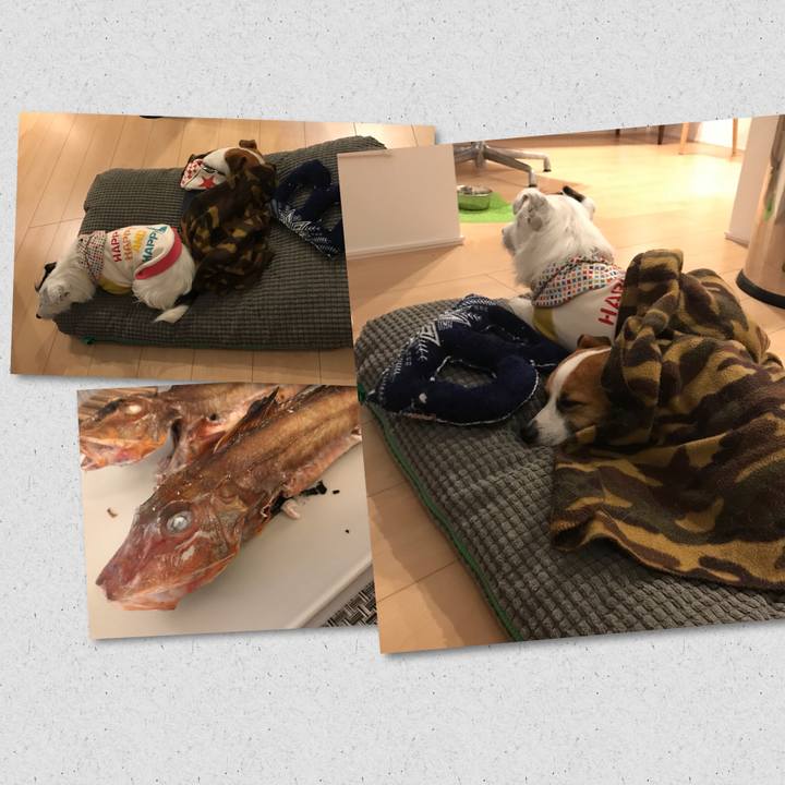 144eac51 f709 431b ab6a 1338184baf9f 1512305105637