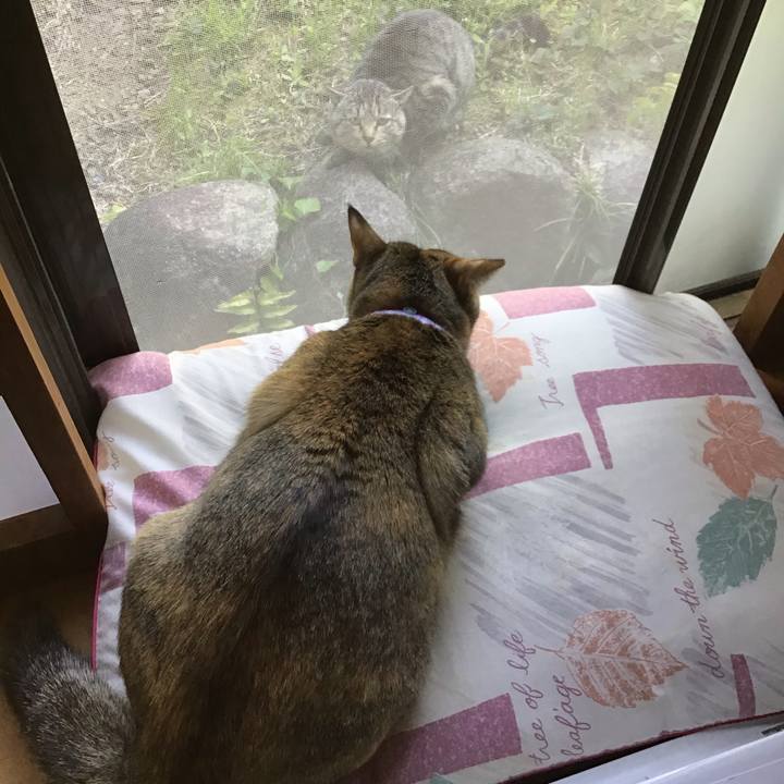 144ebaad 5594 4f91 816e 1bb0b126618c 1587700938720