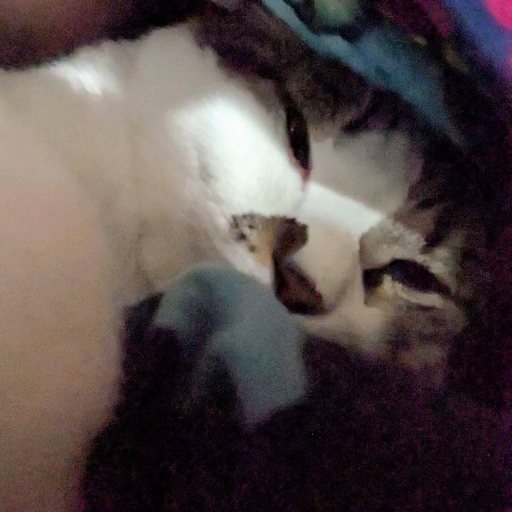 144ebae1 1078 4fc6 8796 707a4539cfac 1771328550680