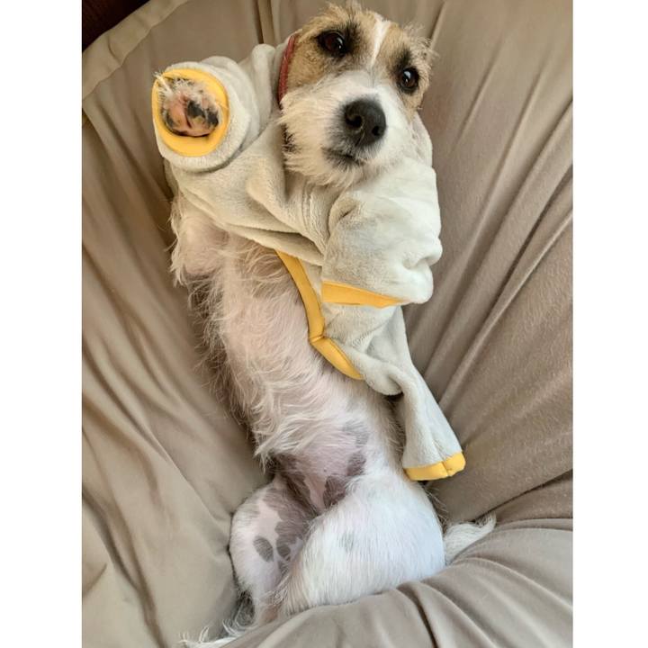 144ec6e6 d3b1 479a be12 4d31c22317d8 1613461906428