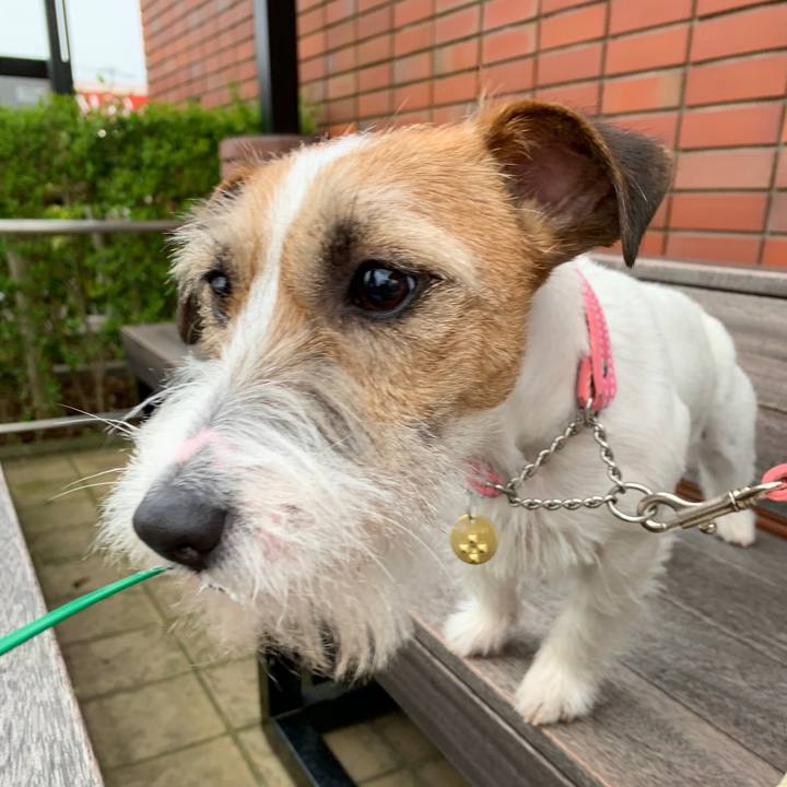 144ef9b5 7a50 4ea2 93cd d5de8c29511f 1586690872227