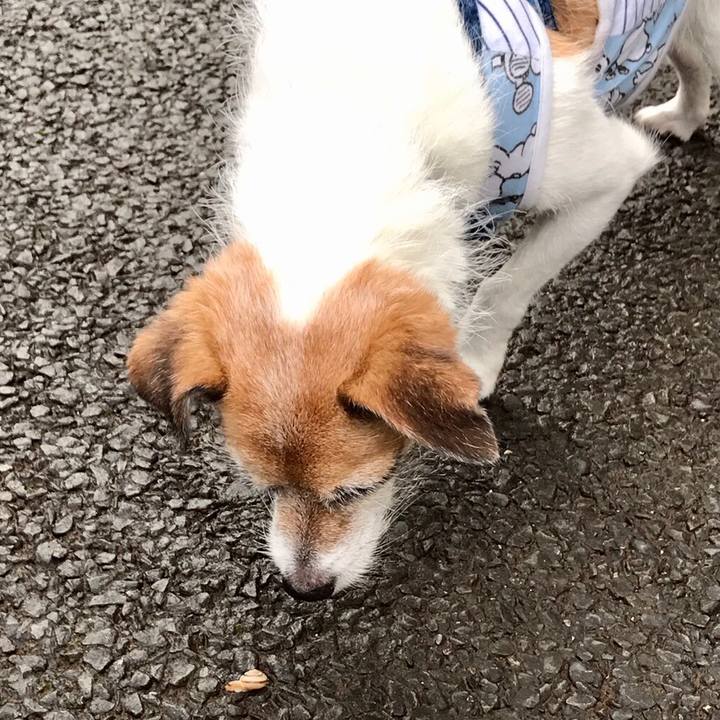 144efefb cbb7 4aa3 b35f 467b83e54b29 1595584222643