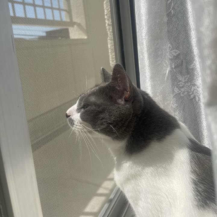 144f172f 017a 44da 9caf c5ae292b91dc 1633225625622