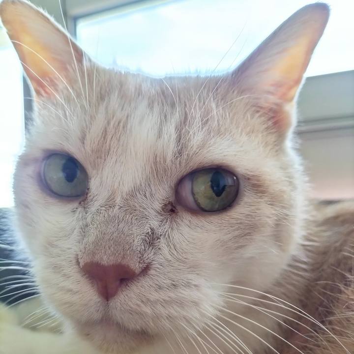 144f3d17 9047 4702 8423 f7dd4ddba951 1695420929168