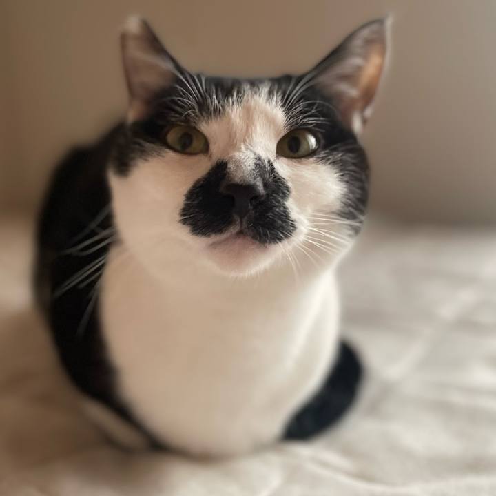 144f87a4 8a0f 43f1 b5ad 5d8e870ac028 1768530623724