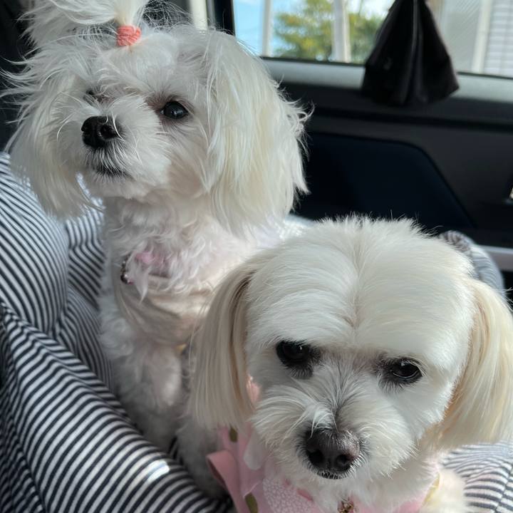 144f9298 e23f 41b1 a4e7 218149bc4102 1729566323314