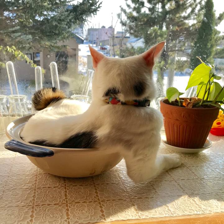 144fdd20 26ee 449b a5b6 7f7c2b2561f4 1543117212590