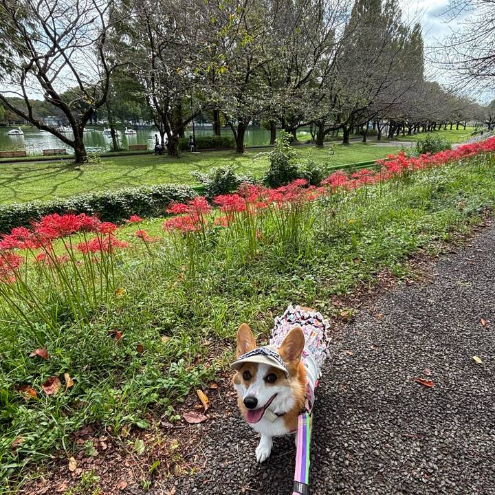 144fff08 4b07 4057 8ab4 d08a87d30baf 1759637521131