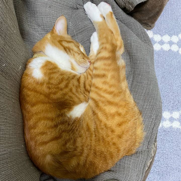 1450412c 6a95 4923 9fe8 3ecbbb895de3 1614677240229