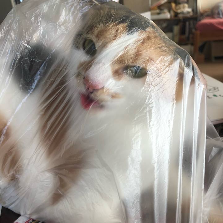 14504f2f 8493 4a26 a2f5 5f25b79878e3 1599368188894