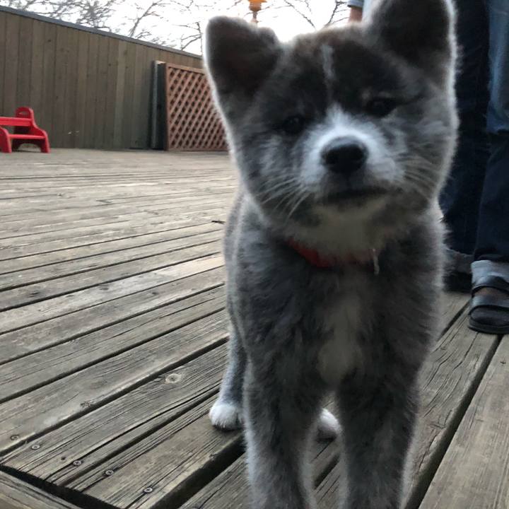 1450a7f0 4131 45ee b9ac cffdde24a180 1553077930610