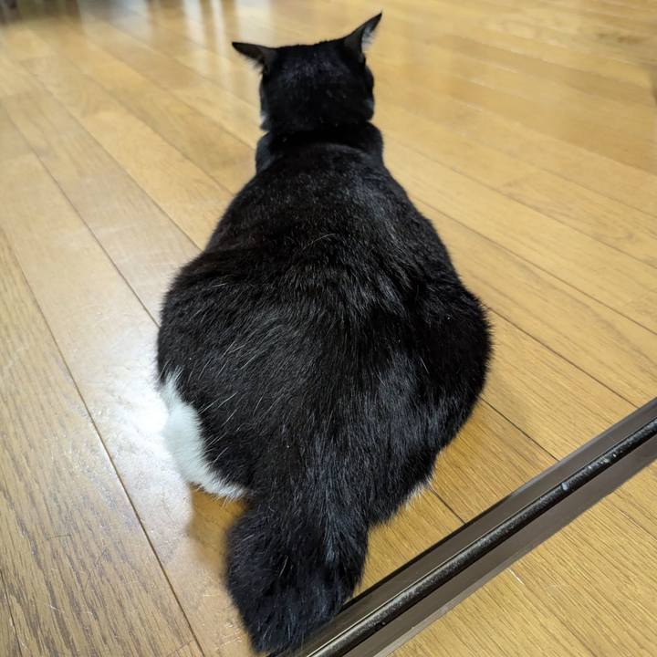 1450a876 f4bc 480d 82e8 847b936c293a 1722318992536