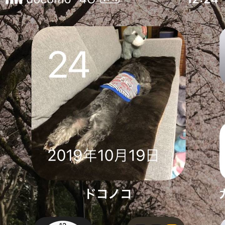 1450cc8b 96e4 4c08 8fb0 c94f71717887 1635046014718