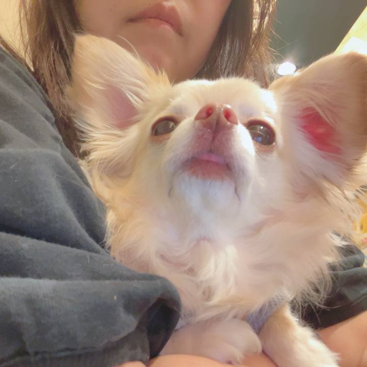 1450cd17 a81d 478c 965a 8da874a941bd 1746013701949