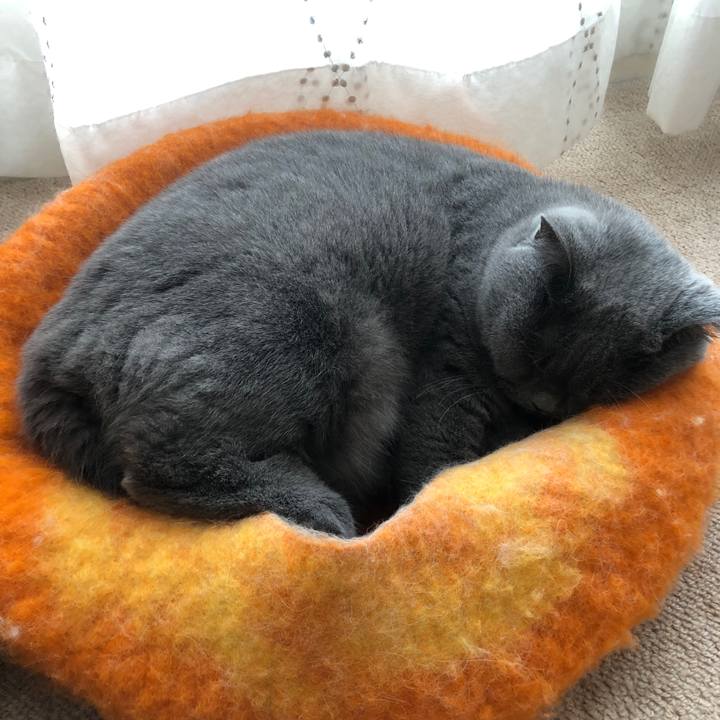 1450ce21 0b8b 4425 abad e59a521e82df 1545530814650