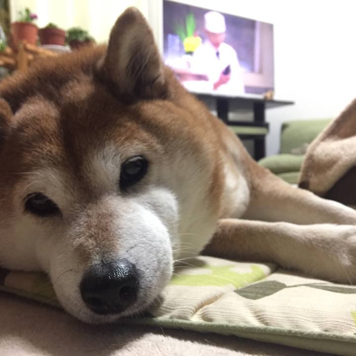 1450ded4 bf6f 4bc7 ade9 046e060f7d18 1518789157506