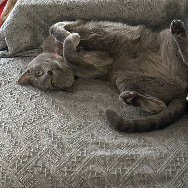 145108c6 45cf 486b 83ef 9ca31f601066 1726102191275