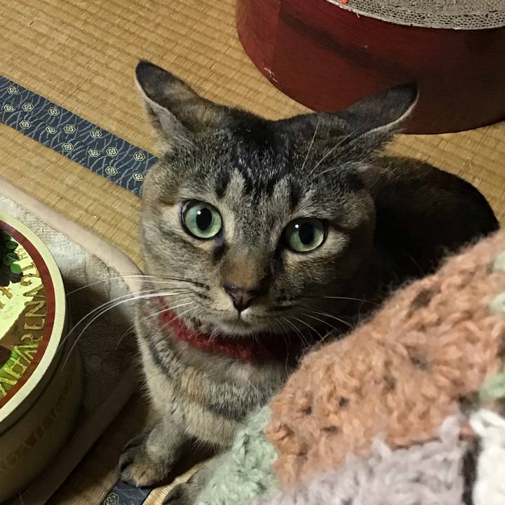 14517f64 03d7 42ad a97c d05418315ee7 1641888567905